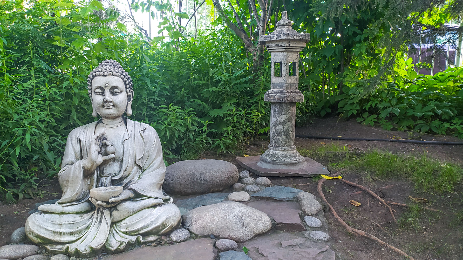 Будда сидит на камнях, среди кустарника.